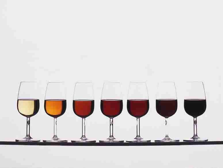 Cata_Oportos_En_torno_al_Vino